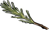 Rosemary Clip Art