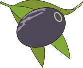 Olive Clipart