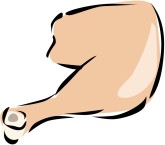 Turkey Leg Clipart