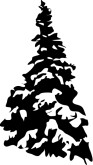 Fir Tree Clipart