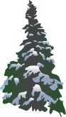 Snowy Pine Tree Clipart