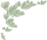 Faded Christmas Pine Menu Corner