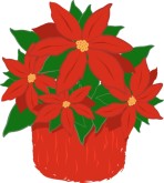 Poinsettia Plant Clipart