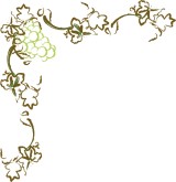customize 44 grapevine menu borders musthavemenus wine border template